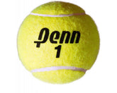Penn Championship Extra Duty Tennis Balls (Hard Court), 13 Cans (39 Balls) with Exclusive Tennis Ball Magnet